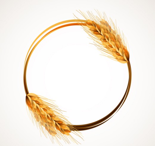 金色麦穗圆环矢量素材素材中国网精选