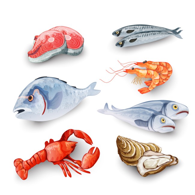 7款创意美味海鲜设计矢量图素材中国网精选