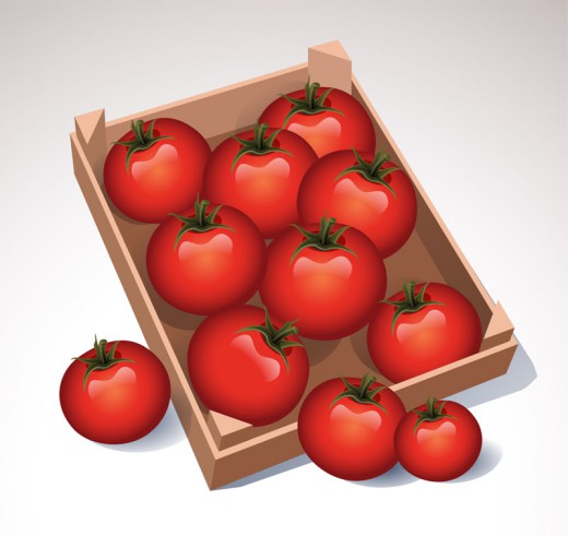 精美红色西红柿矢量素材16素材网精选