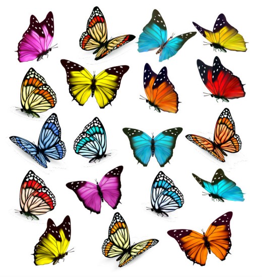 19款彩色蝴蝶矢量素材素材天下精选