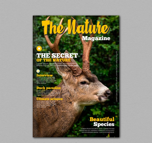 创意驯鹿自然杂志封面矢量图普贤居素材网精选