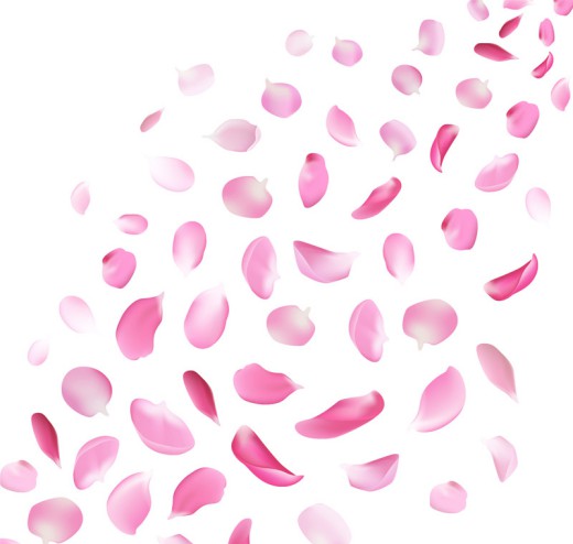 粉色花瓣设计矢量素材16设计网精选