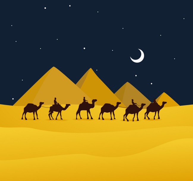 创意夜晚沙漠骆驼风景矢量素材16图库网精选