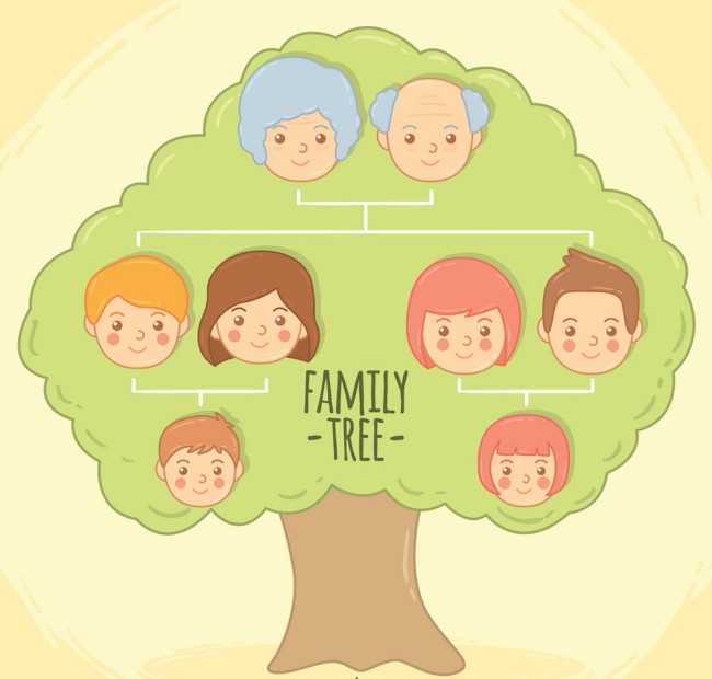 创意人物头像家族树矢量素材16图库网精选
