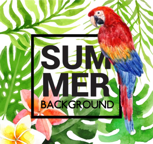 夏季热带鹦鹉和花草矢量素材16设计网精选