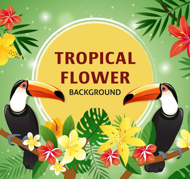 创意热带花卉和大嘴鸟矢量素材16图库网精选