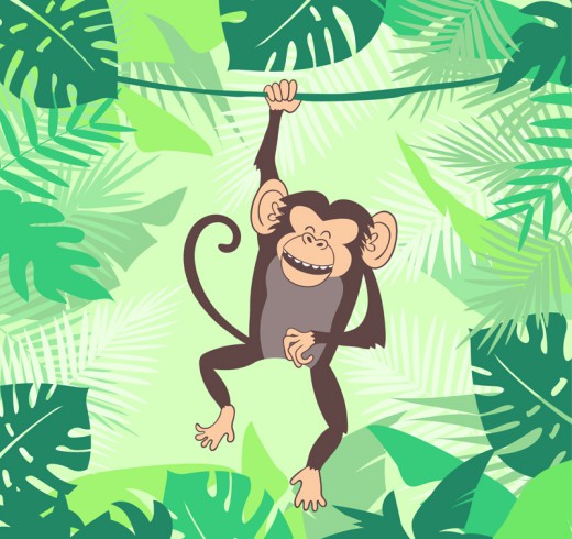 森林里的猴子矢量素材16图库网精选