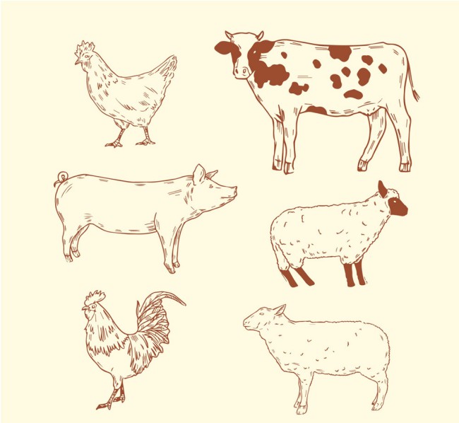 6款手绘农场动物矢量素材普贤居素材网精选