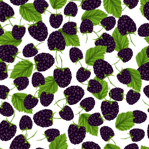 新鲜黑莓无缝背景矢量素材普贤居素
