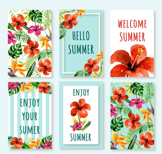 6款夏季热带花卉卡片矢量图16素材网精选