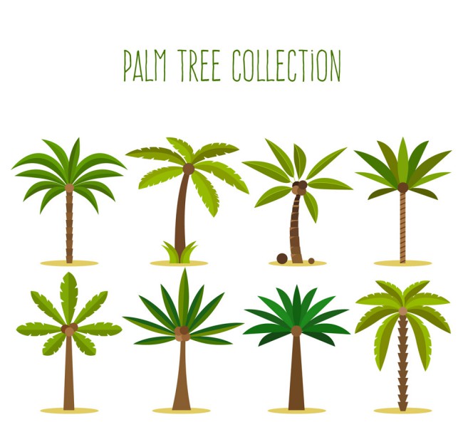 8款绿色棕榈树设计矢量素材素材中国网精选