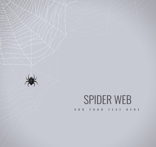 黑色织网的蜘蛛矢量素材普贤居素材网精选