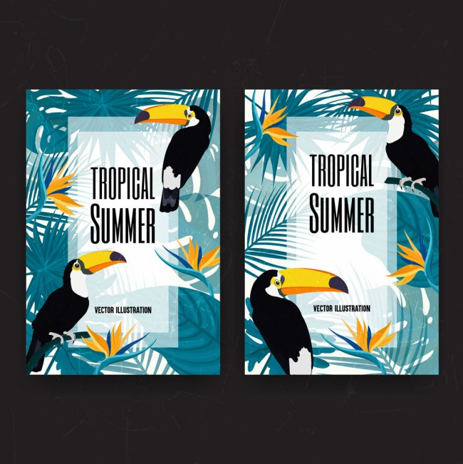 2款创意热带夏季托哥巨嘴鸟卡片矢量图素材中国网精选