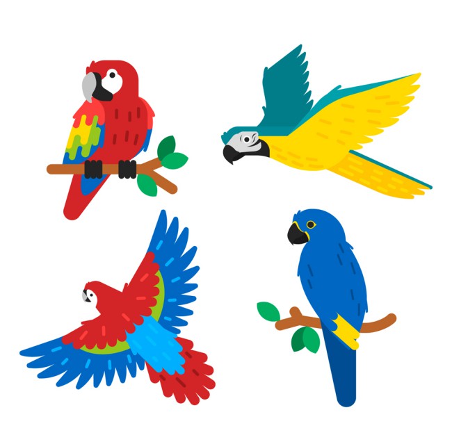 4款彩色热带鹦鹉设计矢量素材16素材网精选