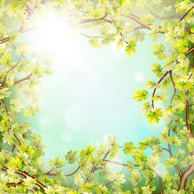 春季树梢和阳光框架矢量素材素材中国网精选