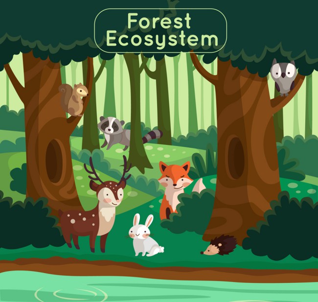 创意森林生态系统矢量素材16图库网精选