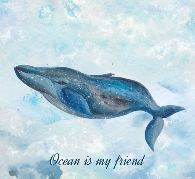 彩绘海里的布氏鲸矢量素材普贤居素材网精选