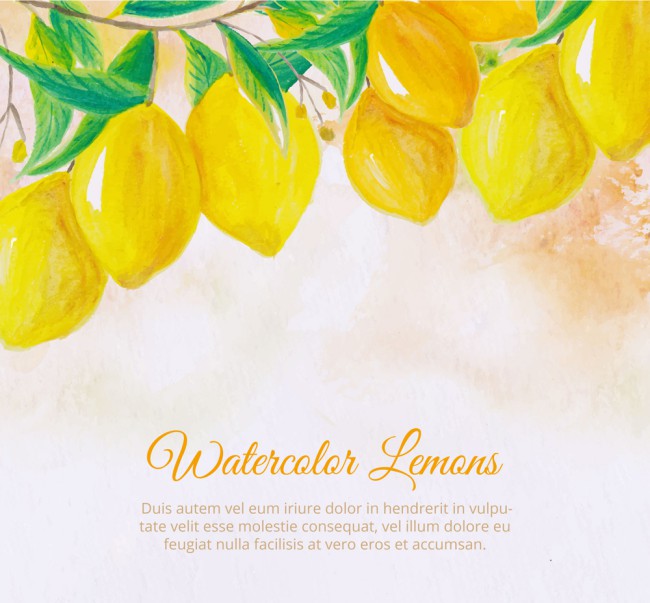水彩绘树上的黄色柠檬矢量素材16图库网精选