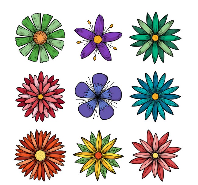 9款手绘花朵设计矢量素材16图库网精选