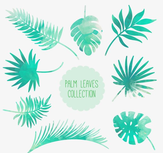 8款水彩绘棕榈树叶矢量素材普贤居素材网精选