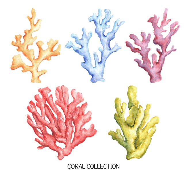 5款彩绘珊瑚设计矢量素材普贤居素材网精选
