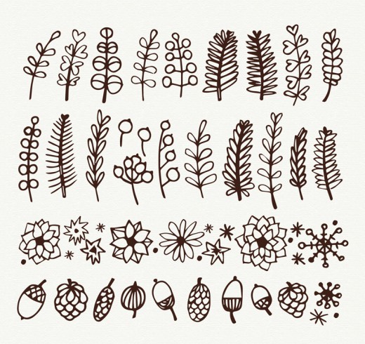 38款手绘植物设计矢量图16设计网精