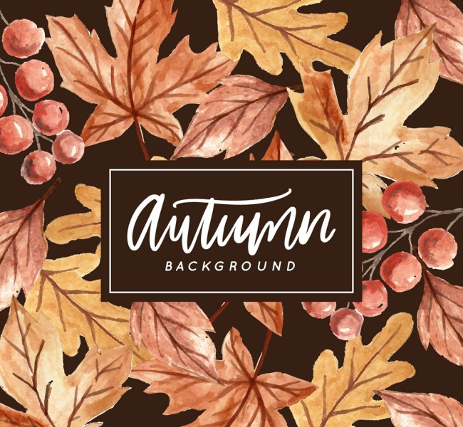 彩绘秋季树叶和浆果矢量素材16图库网精选