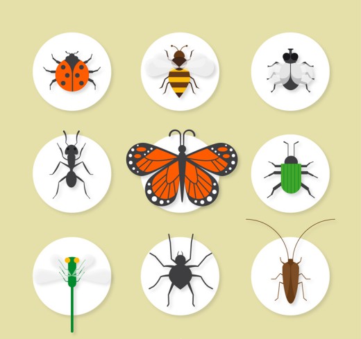 9款精致昆虫图标矢量素材16图库网精选