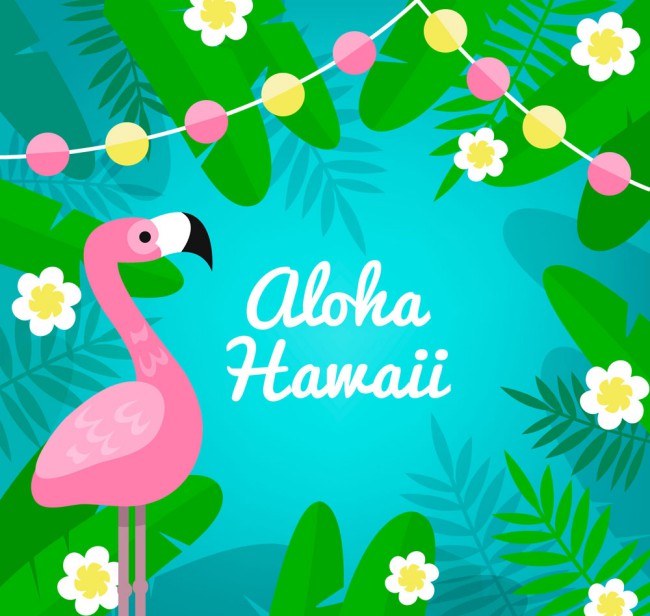 彩色夏威夷火烈鸟和花草矢量图16设计网精选
