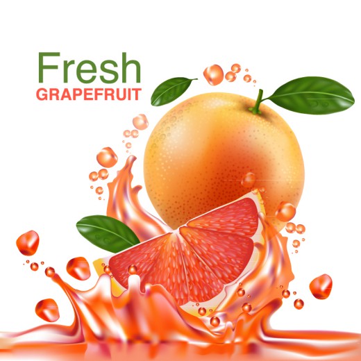 新鲜西柚和果汁矢量素材16图库网精选
