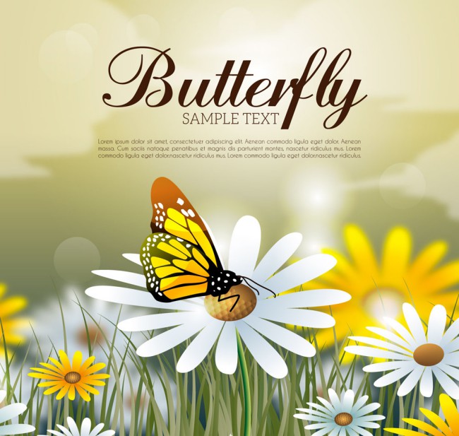 美丽雏菊花丛采蜜的蝴蝶矢量图16设计网精选