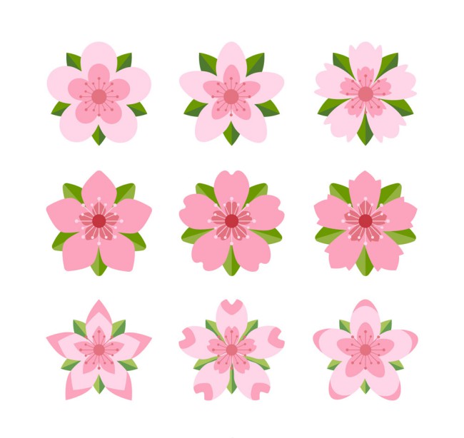 9款粉色带叶樱花矢量素材普贤居素材网精选