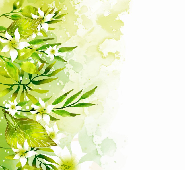 水彩绘绿色树叶白色花卉矢量图普贤居素材网精选
