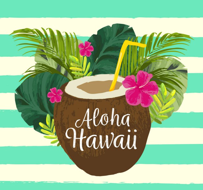 水彩绘夏威夷椰汁和棕榈树叶矢量图16素材网精选
