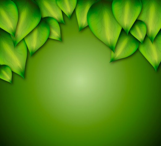精美绿叶装饰背景矢量图素材中国网精选