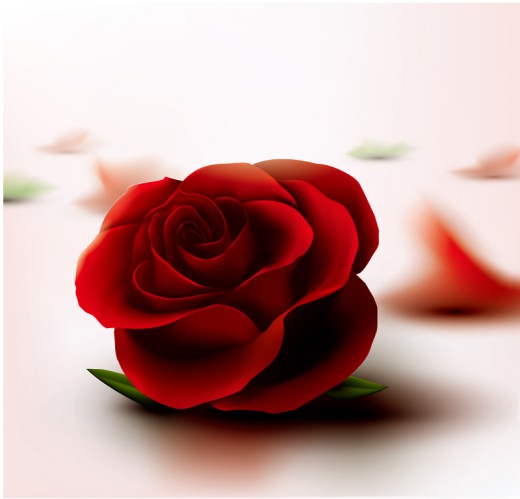 单朵质感红玫瑰花矢量素材16素材网精选