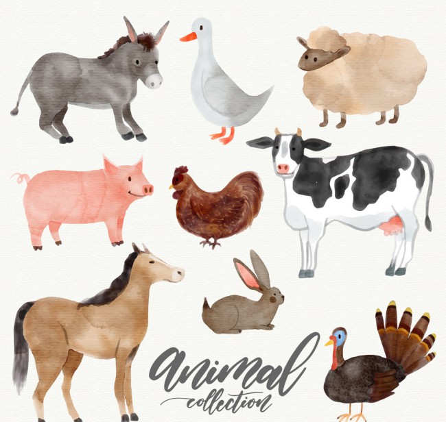 9款水彩绘农场动物矢量素材16图库网精选