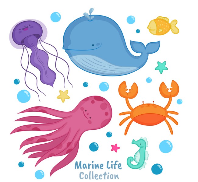 6款卡通海洋动物设计矢量图素材中国网精选