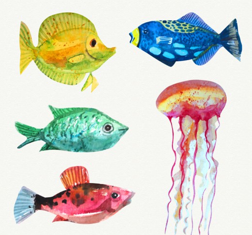 5款水彩绘海洋生物矢量素材普贤居素材网精选