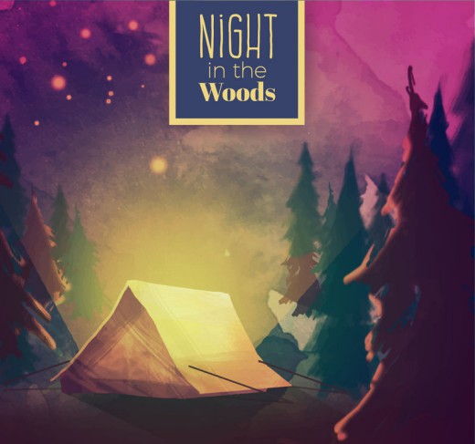 森林中的夜晚露营风景矢量素材16图