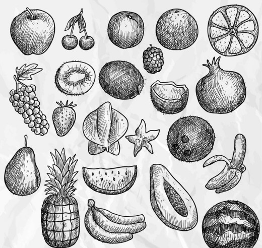 22款手绘水果设计矢量素材16图库网精选