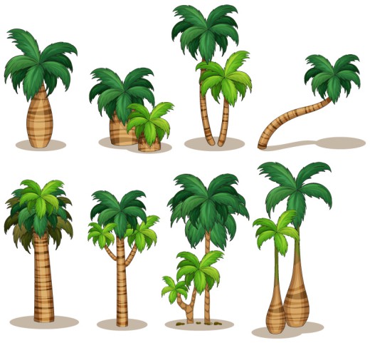 8款精美椰子树矢量素材16图库网精选