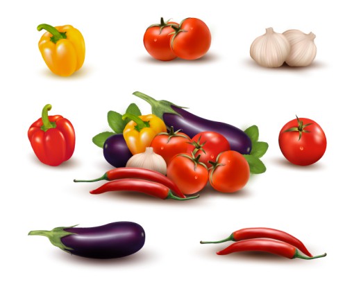 11款新鲜蔬菜设计矢量图16素材网精选