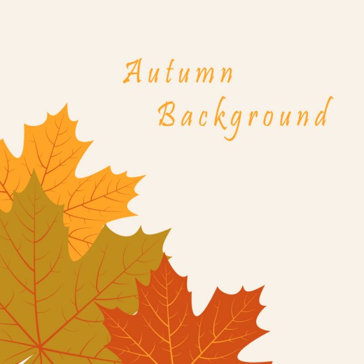 秋季枫叶树叶背景矢量素材16设计网