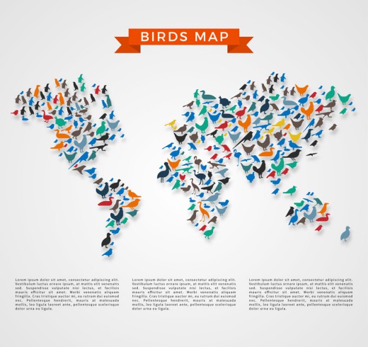 彩色鸟类世界地图矢量素材素材中国