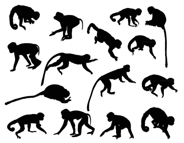 15款创意猴子剪影矢量素材16图库网精选