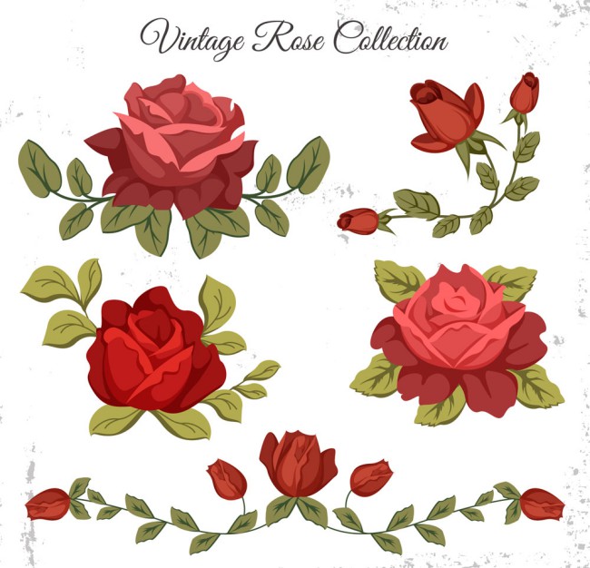 5款复古红色玫瑰花矢量素材16图库网精选