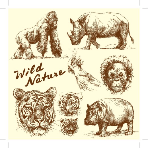 8款手绘野生动物矢量素材16图库网精选