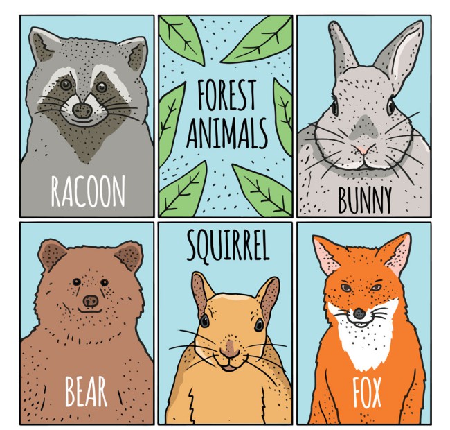 5款彩绘森林动物卡片矢量图素材中国网精选