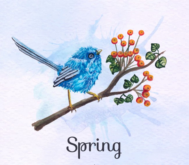 彩绘春季花枝上的蓝色鸟矢量素材普贤居素材网精选